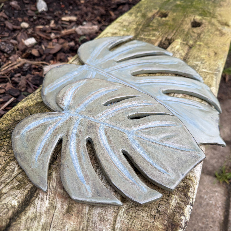 monstrea blad i keramik , som tapas fad, bordskåner eller bare til deko